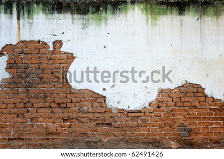 Heavily mold stained white plaster has crumbled to reveal a worn brick wall below Royalty-Free Stock Photo #62491426