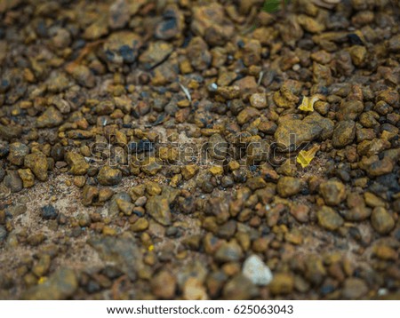gravel floor for background