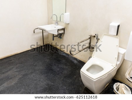 Modern Toilet with friendly design for people with disability