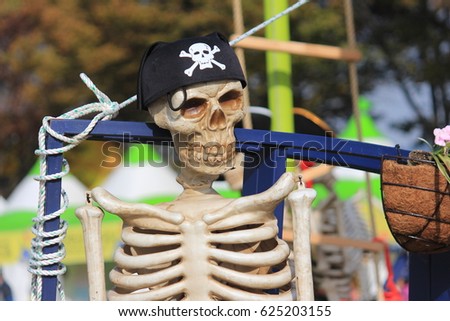 Pirate Skeleton in a Theme Park Ship