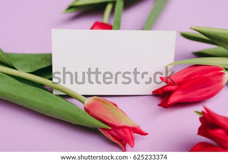 Business card mock up with red tulips on violet background.