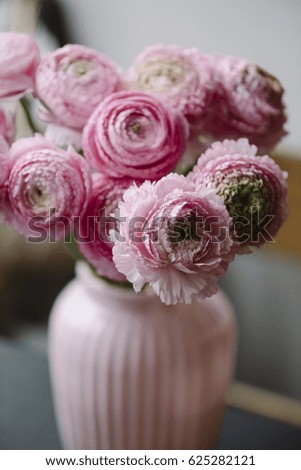 Beautiful tender corrugated pink ranunculus in a pink vase on the table, florist shop