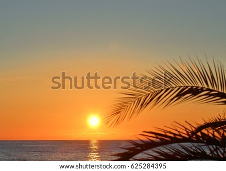 Beautiful sunset by the sea and palm leaves on foreground. Selective focus. 