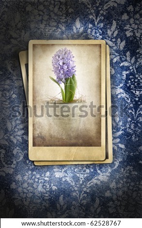 Grungy denim with photo on faded floral background