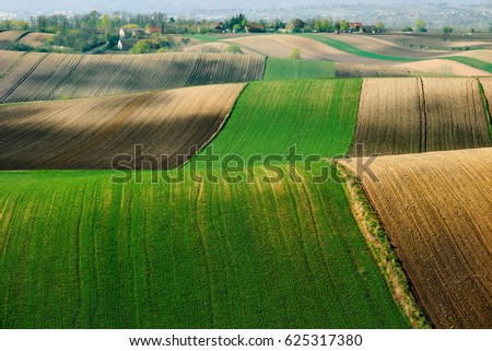 Fields and agriculture, spring countryside, Ponidzie, Poland	