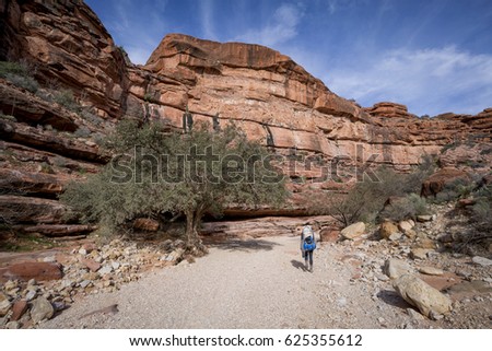 Group of Hikers backpacking climbing to Havasu Falls, Grand Canyon, Arizona Royalty-Free Stock Photo #625355612