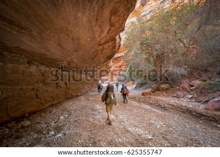 Group of Hikers backpacking climbing to Havasu Falls, Grand Canyon, Arizona Royalty-Free Stock Photo #625355747