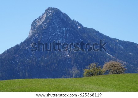 Mountain meadow with peak in the background