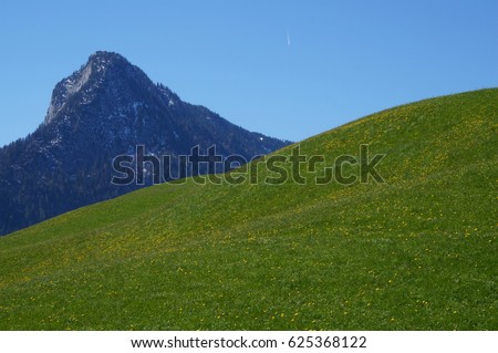 Idyllic mountain pasture with peak in the background