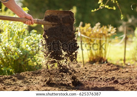 Farming, gardening, agriculture and people concept -man with shovel digging garden bed or farm