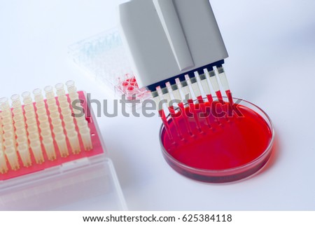 Scientist working with multichannel pipette.Blood test labboratory Royalty-Free Stock Photo #625384118