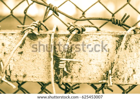 Barbed wire twisted spiral around the fence. On the fence barbed wire closeup.