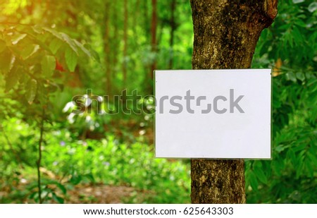 empty white board on tree for ad