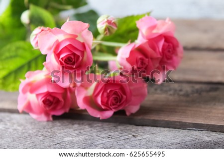 Pink roses on a wooden background, spring