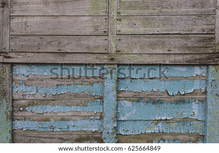 Peeling paint on old boards Close-up, background.
