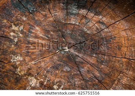 Wood texture , Wood pattern , Old wooden abstract background