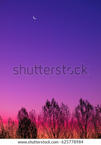 Crescent Moon on pink and purple sky above the silhouettes of trees.