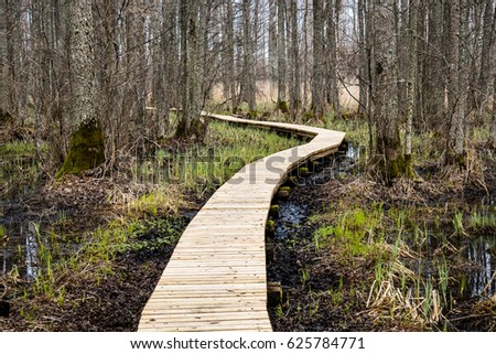 wooden footbridge in the bog in the countryside surrounded by forest