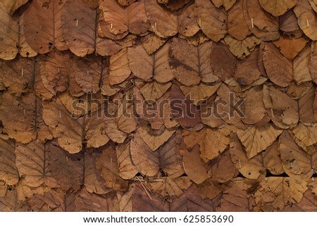 Wall decoration with dried leaf, Tong Tueng, folk wisdom from North of Thailand