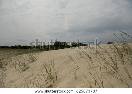 Sand dunes in Letea forest , in the Danube Delta area, Romania, in a summer day