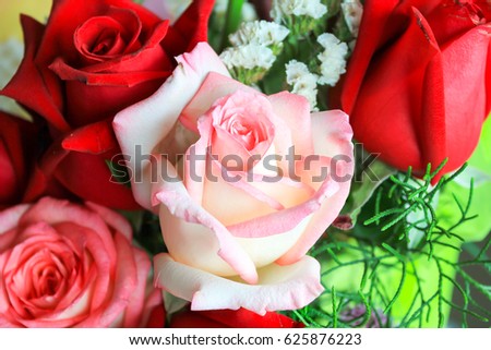 bouquet of roses close up.