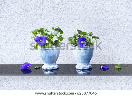 Blue flowerpots with pansies.