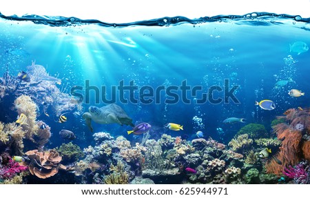 Underwater Scene With Reef And Tropical Fish
 Royalty-Free Stock Photo #625944971