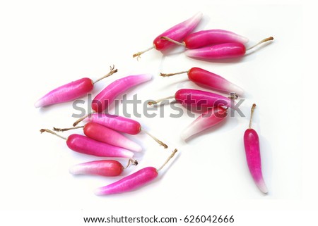 Pink Fruits of cactus. Seed of melocactus, selective focus.
