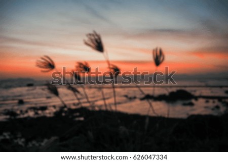 Blurred image of grass  in twilight as background