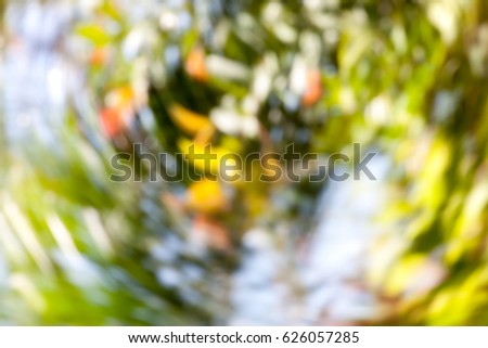 Abstract blurred background. Colorful speed and movement light vivid color. photograph from nature.