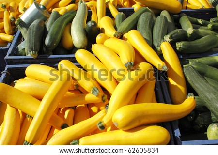 Many yellow and green squash for sale at an outside farm fresh market.