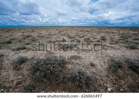 Etosha national park Namibia