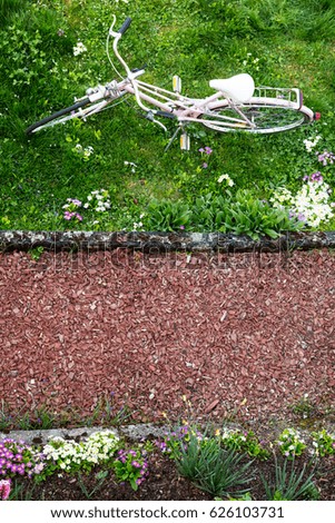 topview on a pink bicycle on a green meadow