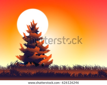 moon and pine at evening