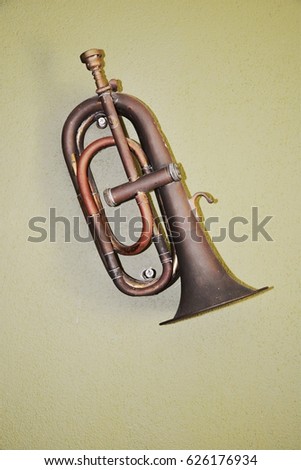 horns hanging on wall