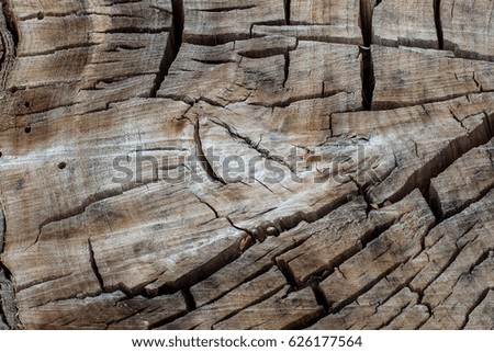 brown wooden texture background with natural pattern