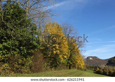 autumn colors in countryside near stuttgart in south germany with blue sky and warm sunshine offer magic atmosphere latest warm days of year
