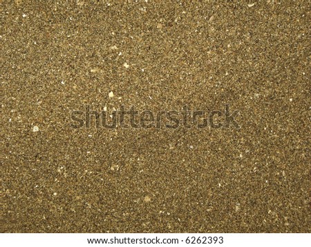 wet sand texture on the sea