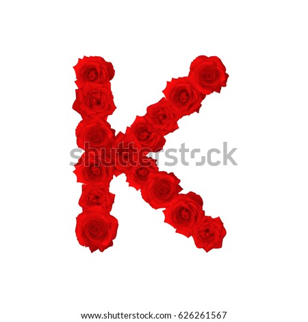 The letter K, in the Alphabet bloom red roses illustration set isolated on white background