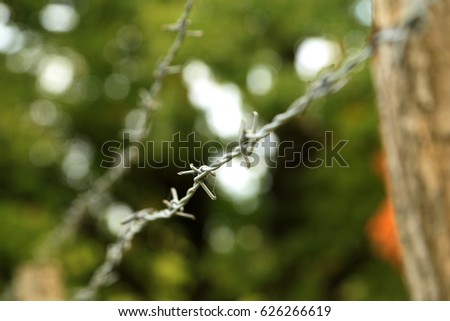 close-up of barbed wire with greenery in soft focus in the background