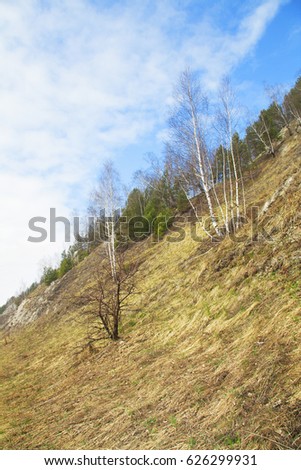 mountains with bright orange grass and gray rocks and blooming trees and bushes against a blue sky with clouds