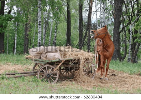 Old Russian horse cart