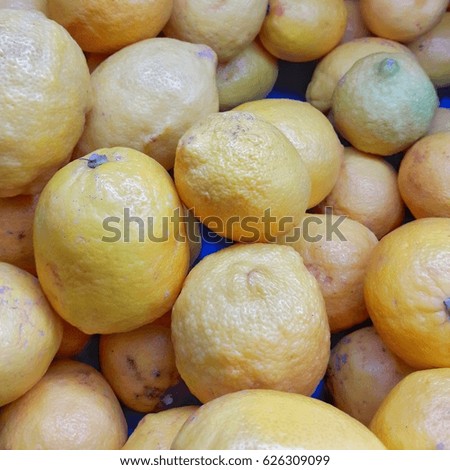 Colorful Display Of Lemons In Market Is Not Pretty Cheap