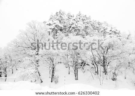 white snow and silhouette of tree