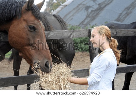 teenage girl feeds horse in the farm 