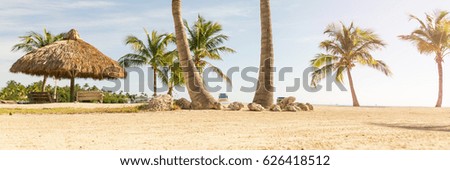Sunny tropical beach with palm trees