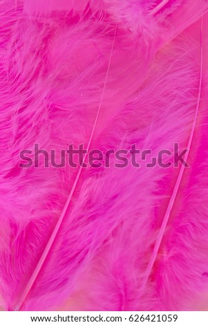 Pink craft feathers background