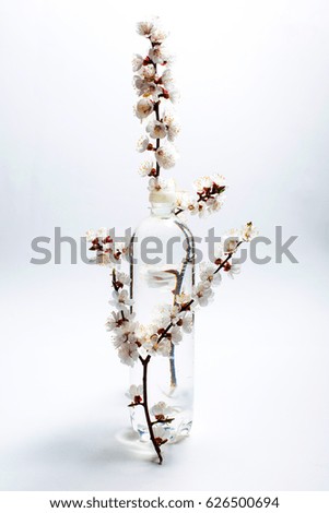 A large bottle of fresh mineral water and two branches of white flowers