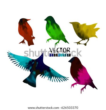 Set of picturesque Colorful birds green. Vector