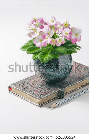 Clean notebook, eyeglasses, Pink and White African Violet on white table from above. Female working desk.